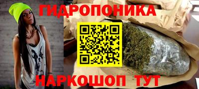 сатива Ачхой-Мартан