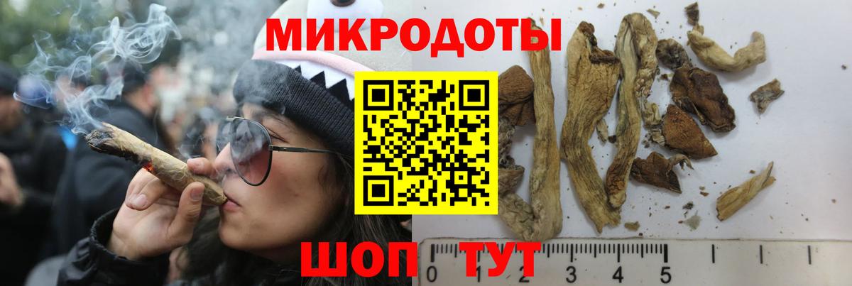 Псилоцибиновые грибы прущие грибы Касимов